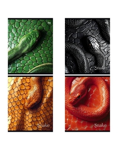 Тетрадь Snake 48л А5 60 г/кв.м клетка выблак Bg