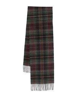 Клетчатый шарф, зеленый Polo ralph lauren