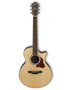 Акустические гитары AE205JR-OPN EL GUITAR Ibanez