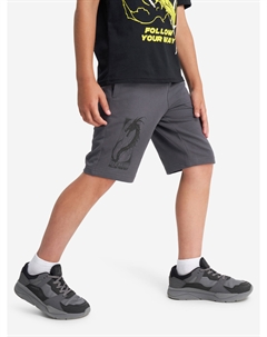 Шорты для мальчиков, Серый Demix