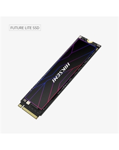 Твердотельный накопитель (SSD) 4Tb Future Lite, 2280, M.2, NVMe (HS-SSD-FUTURE LITE 4096G) Retail Hiksemi