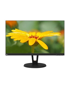 Монитор Lenovo Lecoo B2521E, 24.5", FHD 1920x1080, 60 Гц, VA, черный