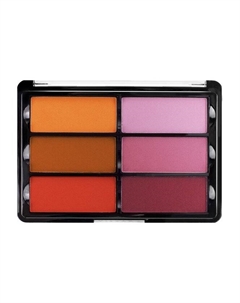 Компактные румяна для лица Orange Violet Blush Palette Viseart