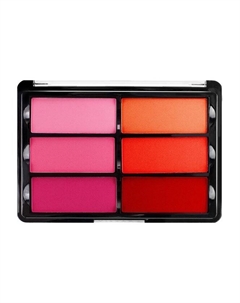 Компактные румяна для лица Rose Coral Blush Palette Viseart