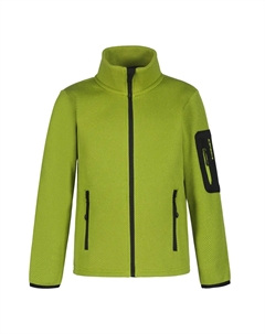 Функциональная куртка "K FLEECE JACKE KEVELAER", с высоким воротником-стойкой, цвет Asparagus Icepeak