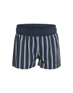 Шорты «Same Time 2»», цвет Mood Indigo S At Down Stripe V Roxy