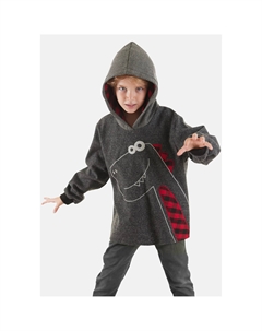 Толстовка «Check Dino» с вышивкой динозавров, антрацит Denokids