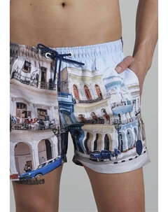 Купальные шорты с великолепным принтом для теплых летних дней, синий Ceceba