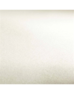 Бумага для акварели Hahnemuhle "Britannia" 50х65 см 300 г 100% целлюлоза, среднее зерно Hahnemuhle fineart