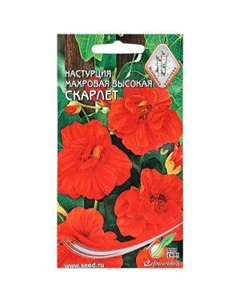 Семена Настурция махровая высокая Скарлет Сортсемово