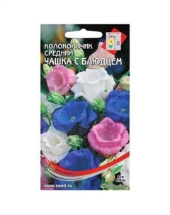 Семена Колокольчик средний Чашка с блюдцем Сортсемово