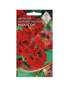 Семена Настурция махровая высокая Махагон Сортсемово