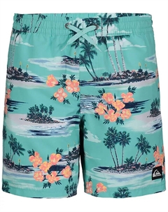 Повседневные водоотталкивающие шорты для волейбола Big Boys Everyday Mix с принтом, синий Quiksilver