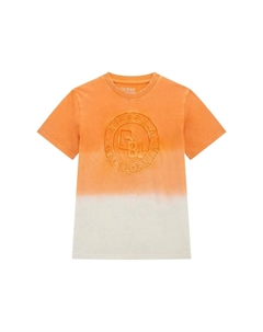 Рубашка с принтом FARBVERLAUF, оранжевый Guess