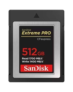 Карта памяти ExpressCard Extreme Pro 512 ГБ, 1700 МБ/с, Class 3, SDCFE-512G-GN4NN, 1 шт., без адаптера Sandisk