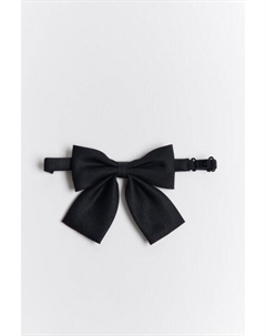 Галстук-бант с пряжкой Befree