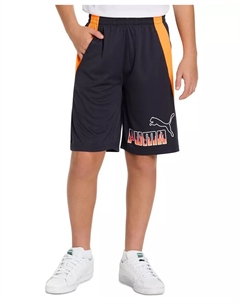 Шорты с принтом Big Boys Logo, серый Puma