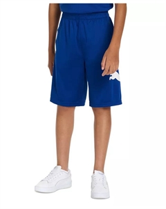 Эластичные шорты для активного отдыха Big Boys Essential Speed Pack Pull-On Performance, синий Puma