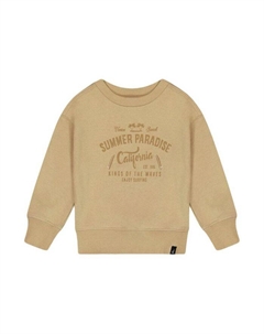 Детский худи с принтом для мальчиков - Baby, коричневый/бежевый Deux par deux