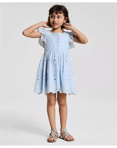 Платье с вышивкой цветов и ажурными деталями для девочек Toddler и Little Girls Enlarged Flora Eyelet, синий Rare editions