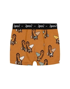 Боксеры для мальчиков из органического хлопка с принтом - малыши, старшие дети, коричневый Deux par deux