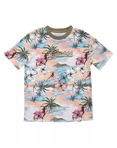 Футболка с коротким рукавом оверсайз для подростков Big Boys, мультиколор Guess