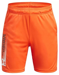 Шорты Big Boys Tech Wordmark, красный Under armour