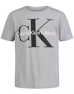 Футболка с коротким рукавом Big Boys Core Monologo, серый Calvin klein