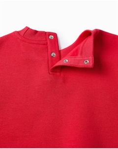 Детский худи для мальчика с принтом на груди, красный Zippy