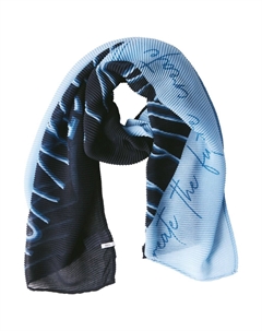 Шарф, синий Cecil