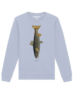 Толстовка Forelle, светло-синий Watapparel