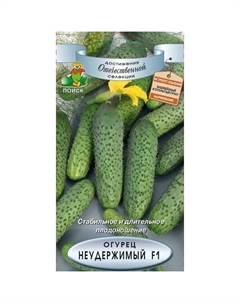 Семена Огурец «Неудержимый» F1 Поиск