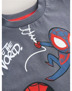 Рубашка Spider-Man, серый Next