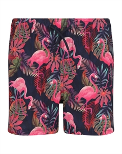 Шорты для серфинга Soda, черный Zigzag