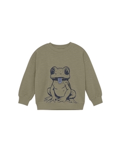 Свитер MISweatshirt LS, хаки Minymo®