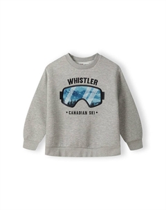 Толстовка, серый Minoti