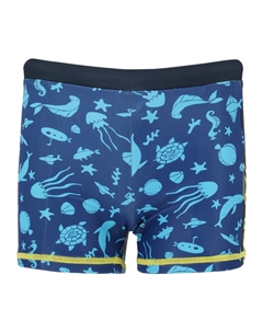 Плавки Buddy, синий Zigzag