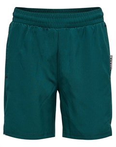 Обычные спортивные штаны Move, изумрудный Hummel