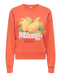 Толстовка ONLPhilea, цвет Dark orange Only