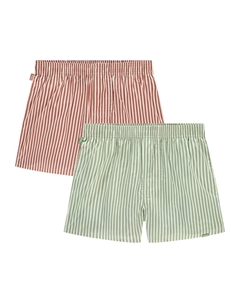 Боксеры, цвет Pastel green/Red Pockies
