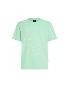 Рубашка, мятный O`neill