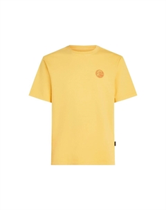 Рубашка, цвет Yellow/Pastel yellow O`neill