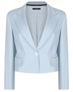 Пиджак шерстяной Windsor