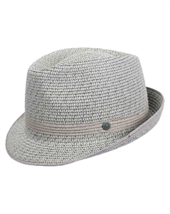 Шляпа, серебряный Bugatti