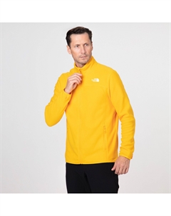 Мужская флисовая кофта 100 Glacier FZ Summit Gold The north face