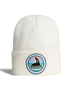 Шапка F-Mountain 1 Napapijri