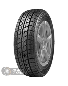 Зимняя шина Winter WD2 205/65 R16 107/105T C Delinte