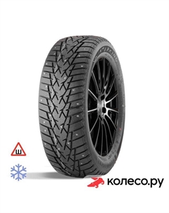 Зимняя шина DW01 215/70 R16 100T Doublestar