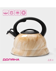 Чайник со свистком из нержавеющей стали Доляна