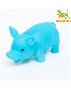 Игрушка для собак Пижон